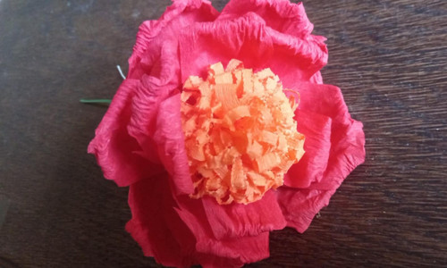Große krepprosen rosen - x,