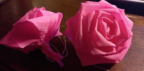 Große krepprosen pink - x,