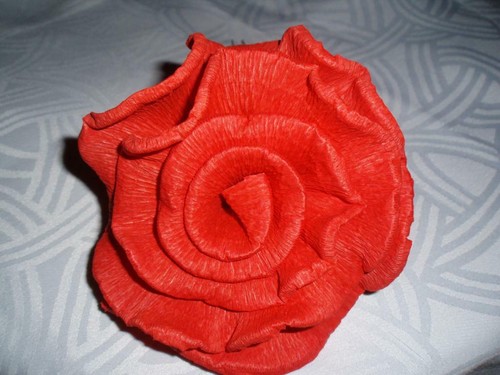 Große krepprosen rot - 50,