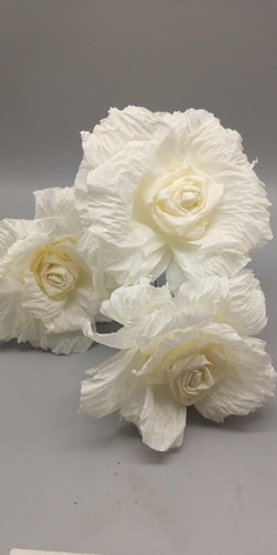 Große krepprosen rosen - 30,
