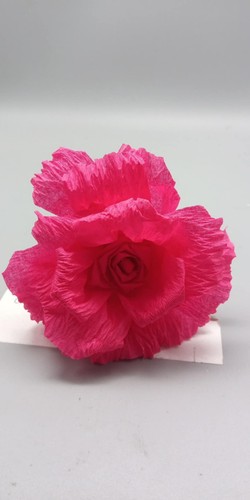 Große krepprosen rosen - x,