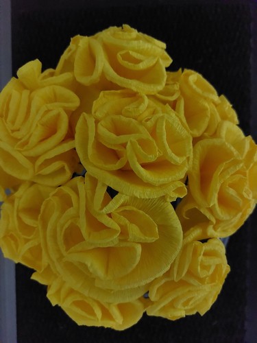Stk krepppapier blumen - stk,
