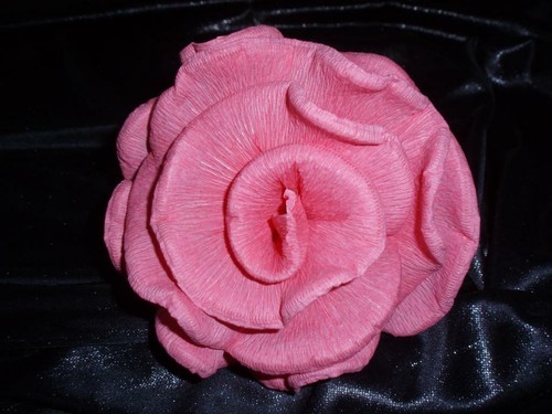 Große krepprosen rosa - x,