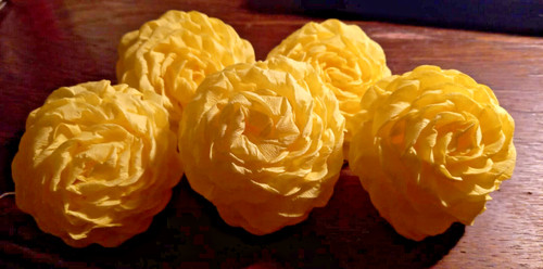 Große krepprosen gelb - krepprosen,